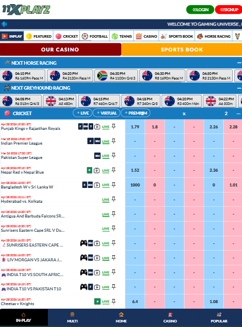 11xplayz - Fastest Withdrawal Betting Site in India
